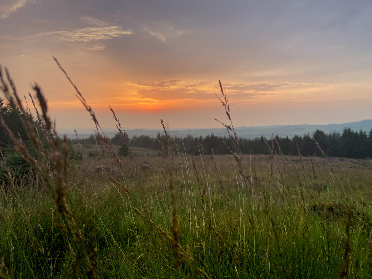 Beacon Fell, Preston, United Kingdom