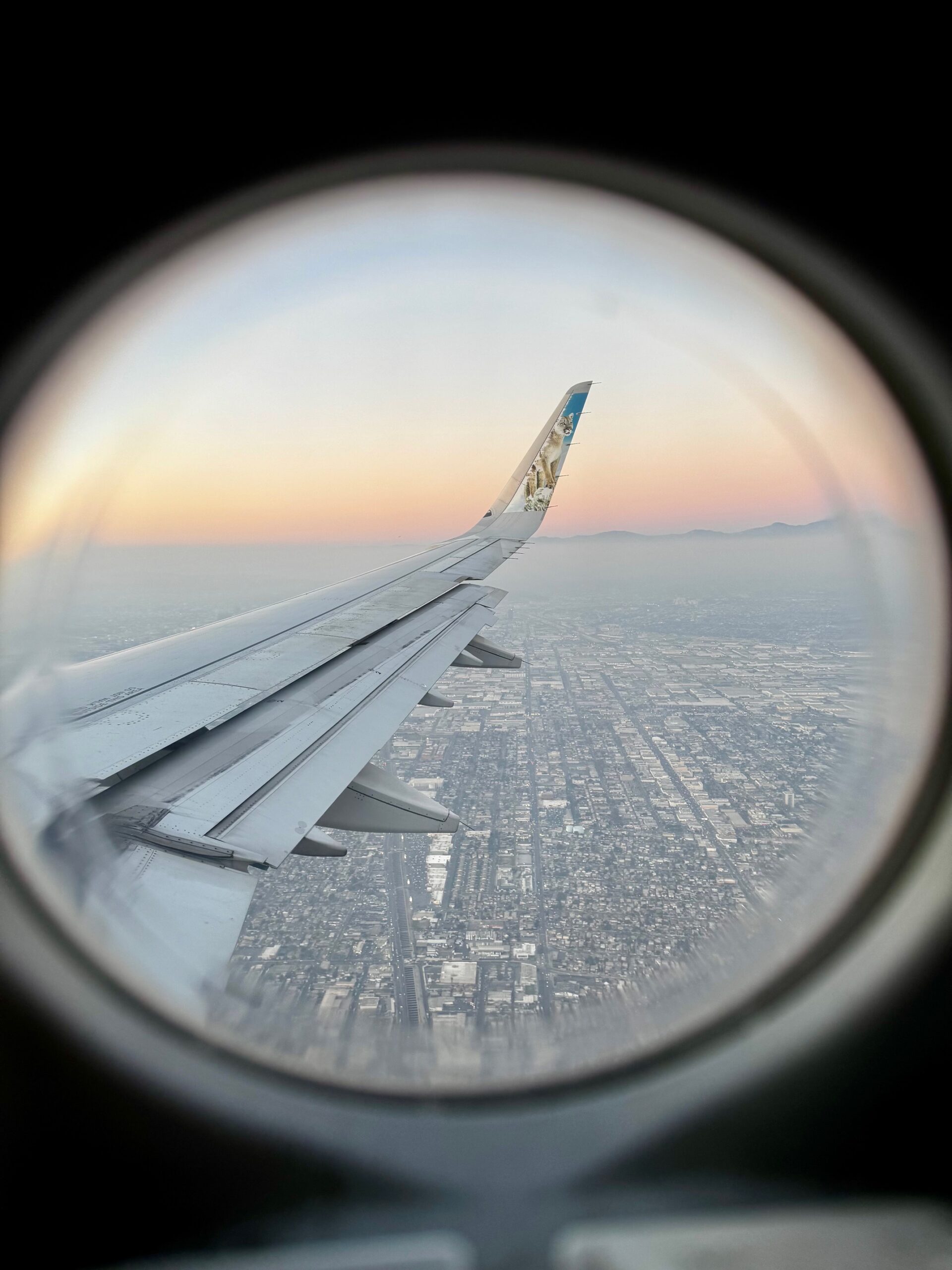 High-altitude aerial view taken from flight attendant jumpseat