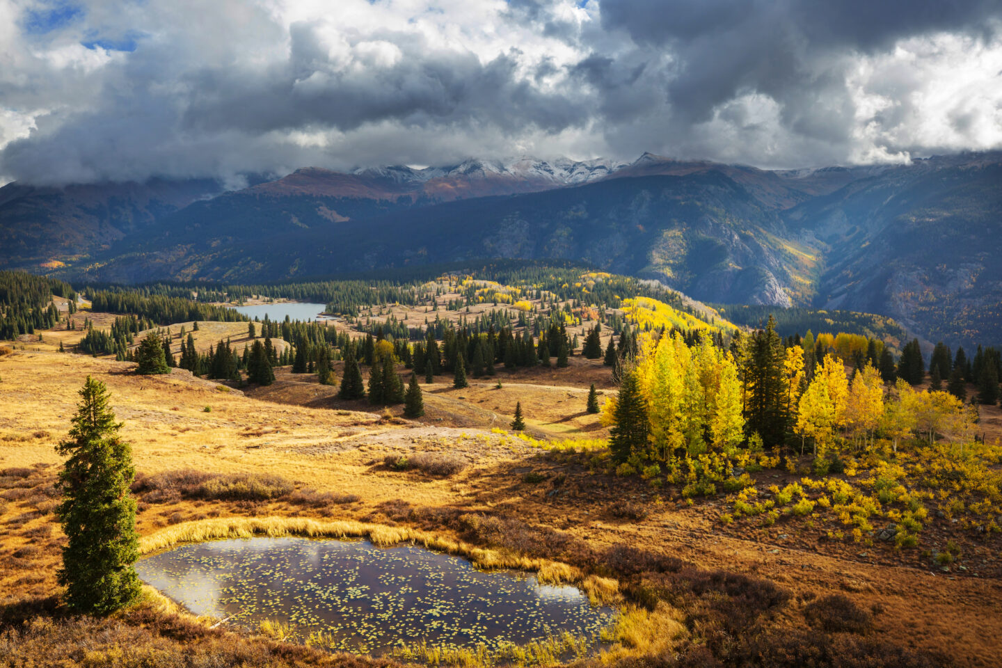Autumn in Colorado