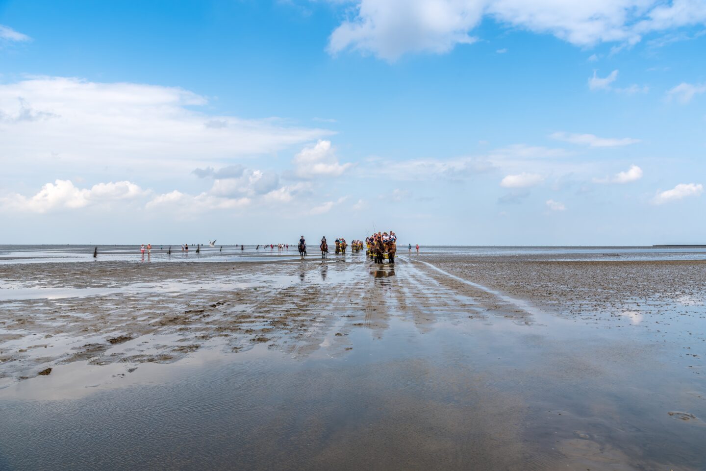 Waddensea, Cuxhaven Low Tide, Northern German Coast